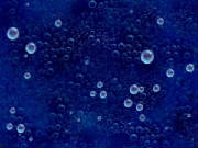 bubbles2.jpg